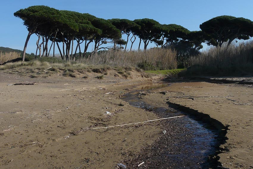 I fossi e lo stagno di Baratti (Piombino - LI)